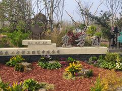 -上海长兴岛郊野公园