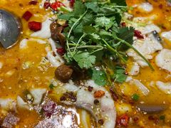 -龙梅肥肠鱼(明瓦廊店)