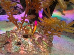 -沈阳海洋探索中心