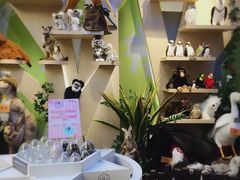 -Behring World of Animals(上海自然博物馆店)