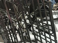 -上海跨国采购会展中心