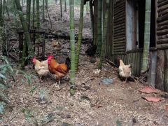 -藏龙百瀑风景区