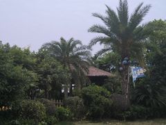-天屿湖