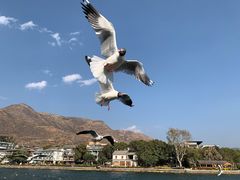 -南诏风情岛