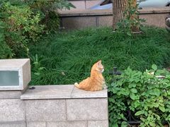 -徐家汇天主堂