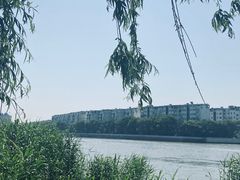 -澹台湖公园