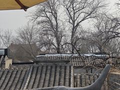 -闲·胡同 Barblu Hutong(雍和宫五道营店)