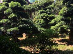 -华雅花园大酒店