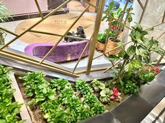 -上海K11购物艺术中心
