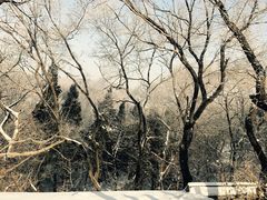 -高尔山公园