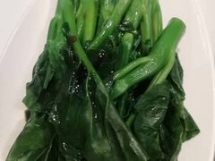 -翠华餐厅(维璟印象城店)