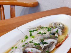 清蒸白条鱼-百家鲜·杭帮菜