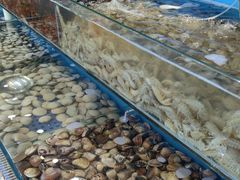 -港畔赶海蒸汽海鲜烧烤自助(仙螺岛店)