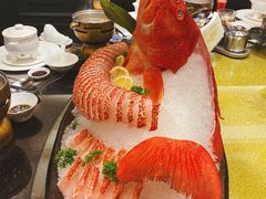 东星斑-半岛翡丽海鲜自助餐厅(观风亭店)