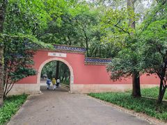 -灵谷景区