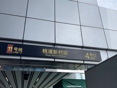 -桃浦新村(地铁站)