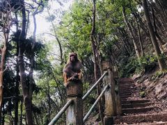 -黔灵山公园