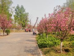 -长白岛森林公园