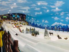 -世界之窗阿尔卑斯冰雪世界