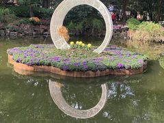 -汇龙潭