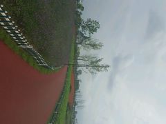 android_upload_pic-荷兰花海