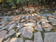 -秋霞圃