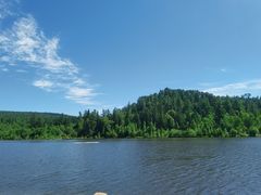 -五营红松林海景区