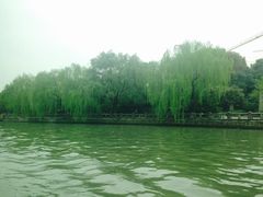 -运河游船(武林门码头)