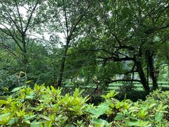 -随意茶庄·地道杭帮农家菜(梅家坞店)