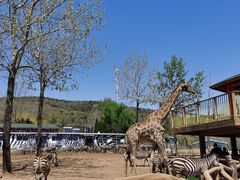 -大连森林动物园