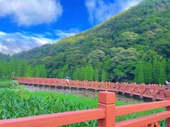 -广州市石门国家森林公园