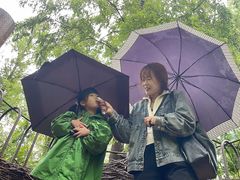 -黄海国家森林公园