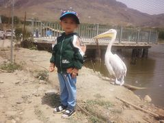 -新疆天山野生动物园