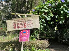 -成都保利公园皇冠假日酒店(熊猫基地店)