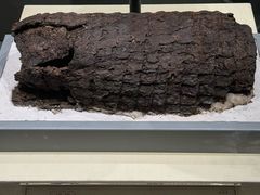 -南越王博物院(王宫展区)