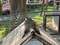 -呀诺达热带雨林