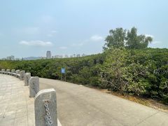 -深圳湾公园(南山区)