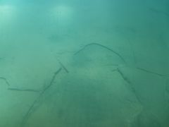 -白鹤梁水下博物馆