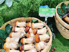 -花菇朵 ll 野生菌锅·精品滇菜(后沙峪店)