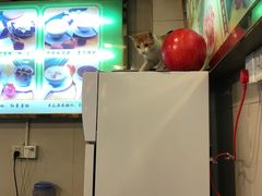 -顺记冰室(宝华路店)