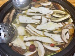 野生鸡枞菌-菌之家野生菌火锅