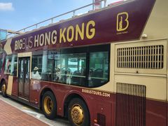 -Big Bus Tours 敞篷观光巴士