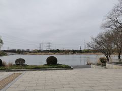 -九里河湿地公园