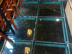 -猫的天空之城概念书店(丽江古城饮玉巷店)