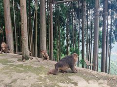 -太阳湾风景区