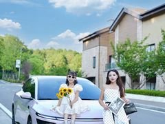 -铁山坪森林公园