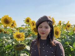 -映月湖中央公园