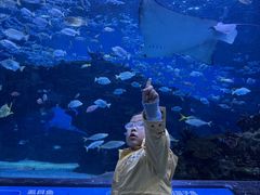 -海合安成都极地海洋公园