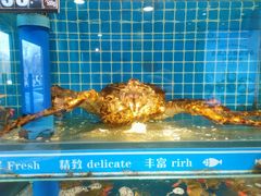 -鲜鲜·鲅鱼圈海鲜(于洪店)