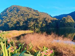 -广州市石门国家森林公园